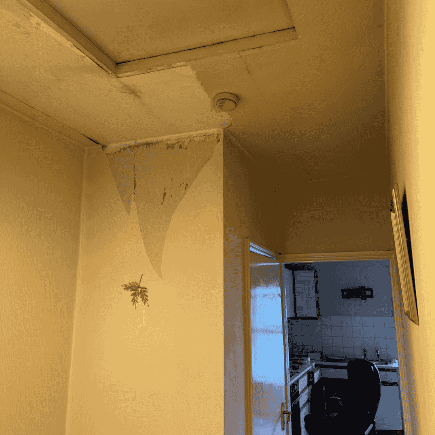 Peeling ceiling and damaged wall in hallway awaiting landlord property refurbishment in Northampton, showing signs of neglect and water staining.